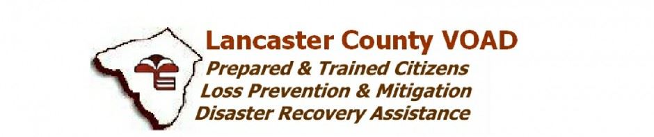 VOAD cropped-header-032 Opens in new window